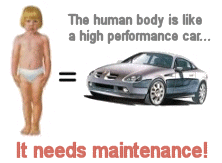The human body is like a high performance car - it needs maintenance